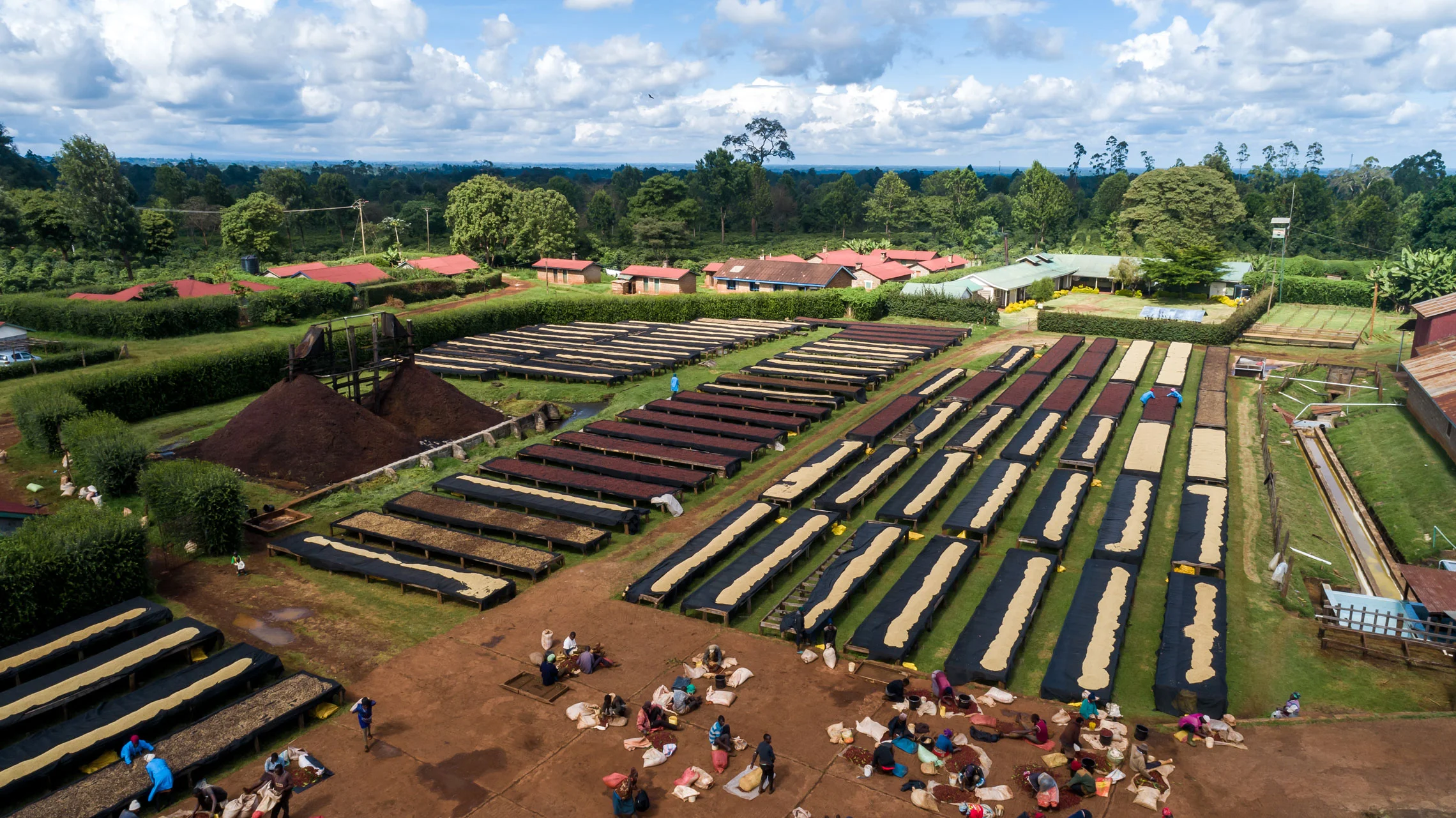 Kenya Selezione Omkafè 100% arabica