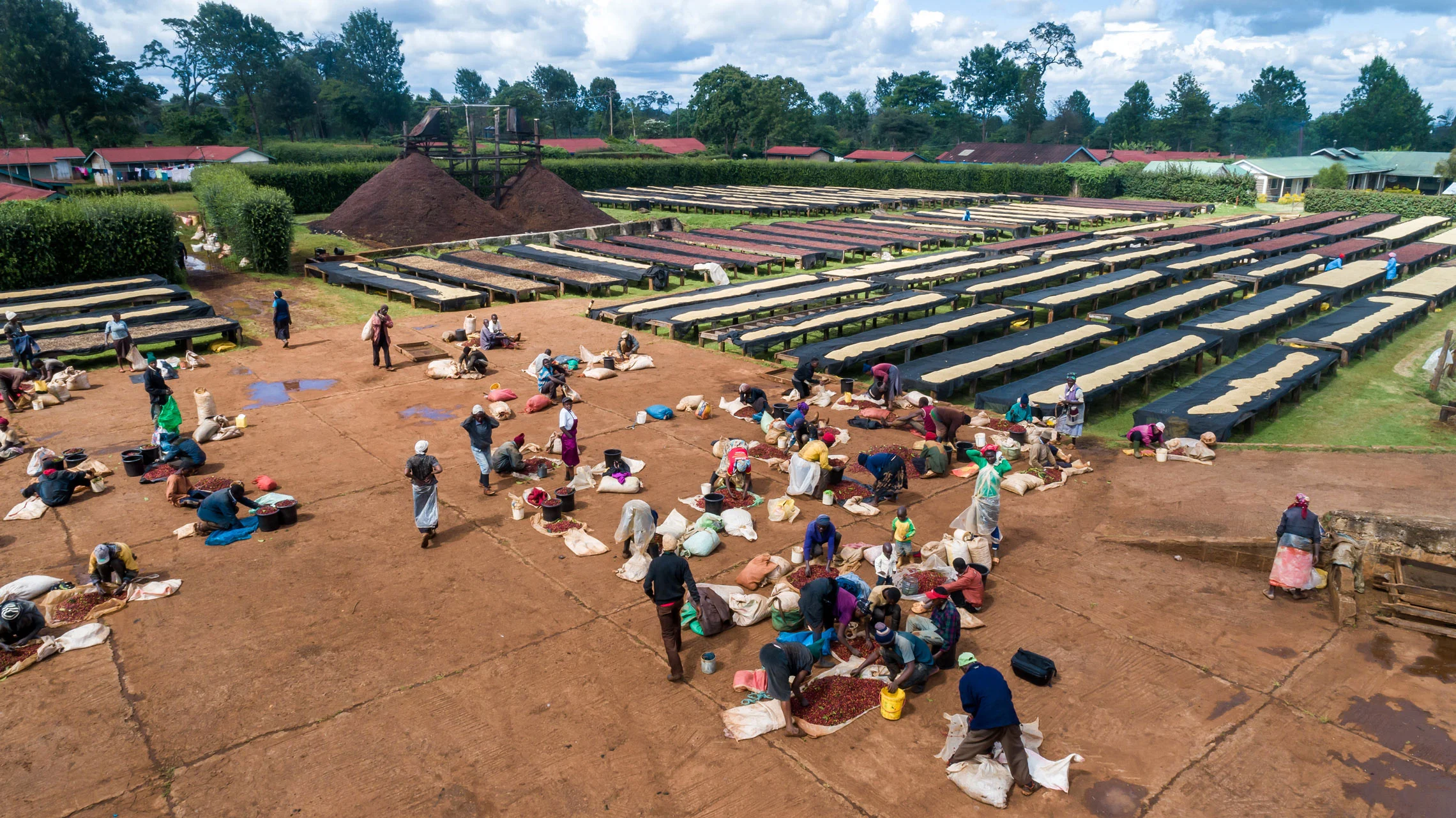 Kenya Selezione Omkafè 100% arabica