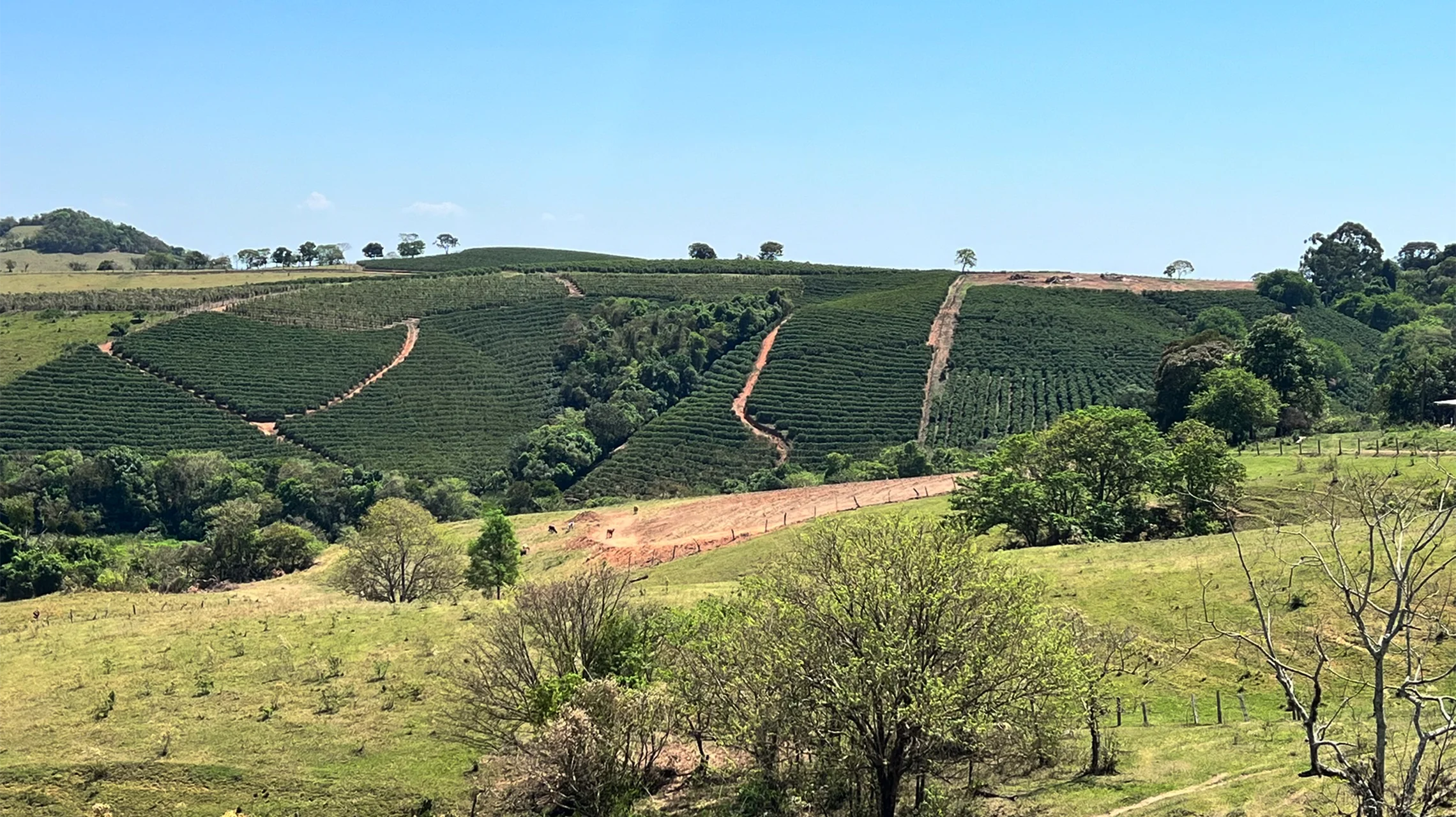 Rwanda Selezione Omkafè 100% arabica