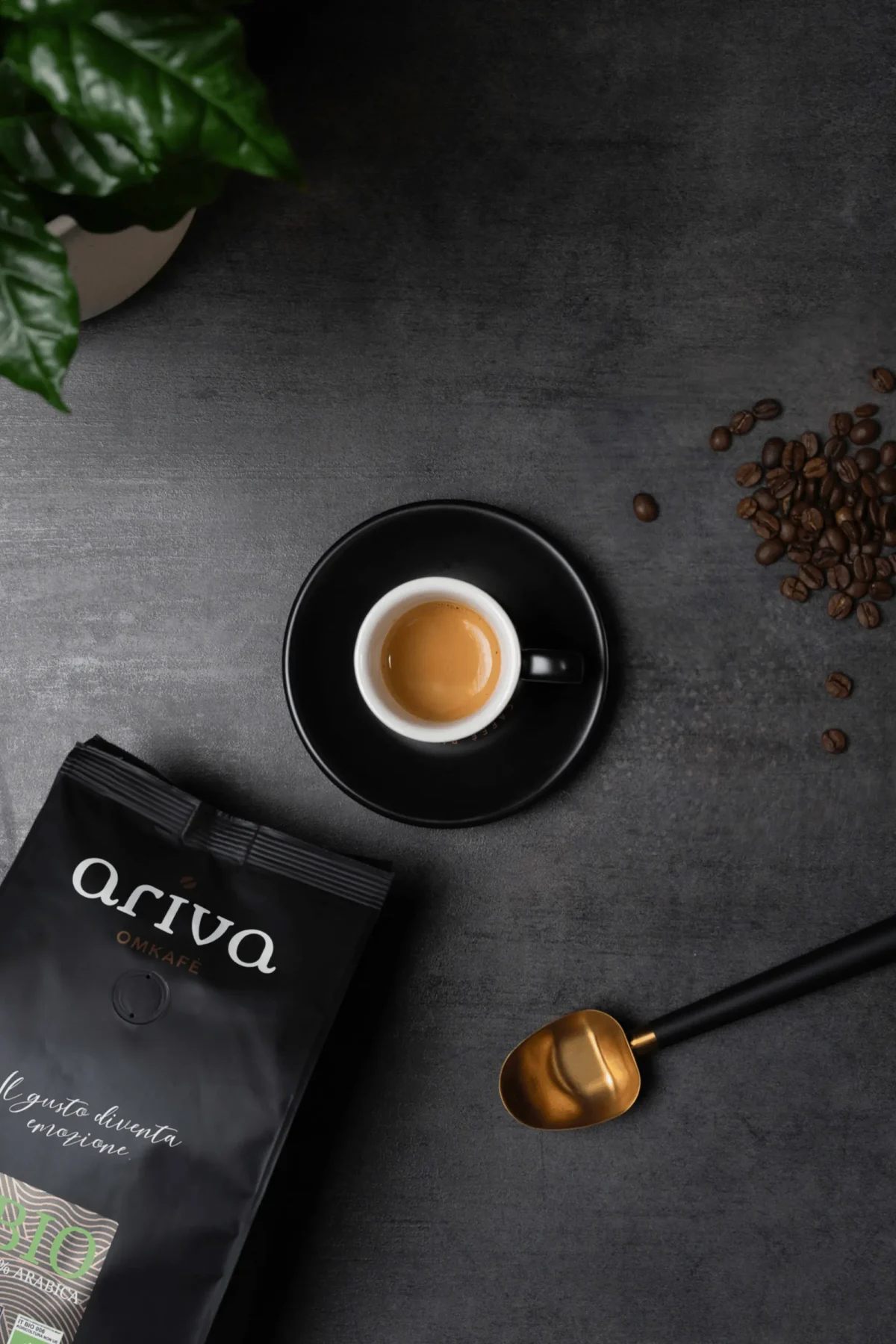 Ariva Omkafè
