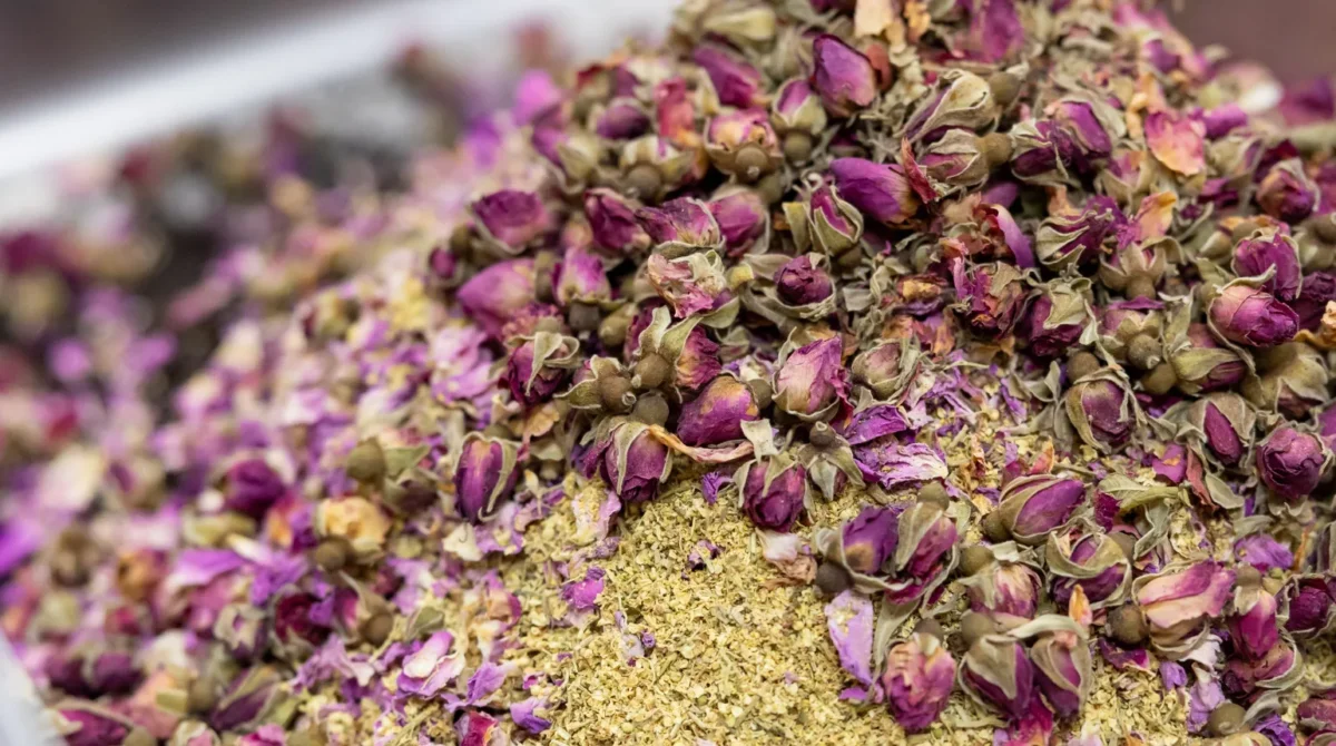 Tè Prestige Omkafè per caffetterie